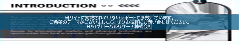 市場調査レポートのイメージwww.globalresearchdata.jpサイト