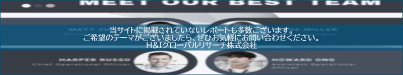 市場調査レポートのイメージwww.globalresearchdata.jpサイト