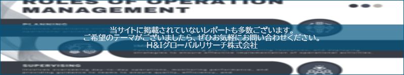 市場調査レポートのイメージwww.globalresearchdata.jpサイト