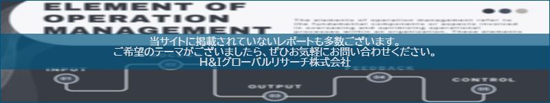 市場調査レポートのイメージwww.globalresearchdata.jpサイト