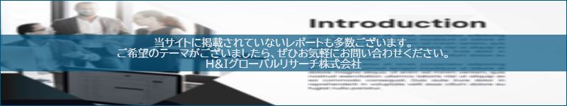 市場調査レポートのイメージwww.globalresearchdata.jpサイト