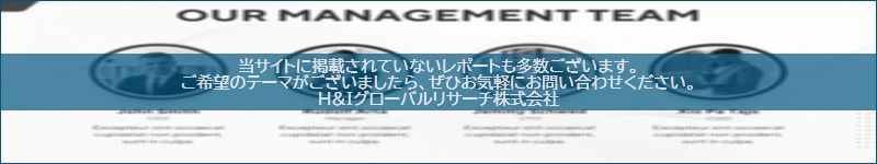 市場調査レポートのイメージwww.globalresearchdata.jpサイト