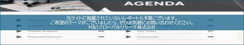 市場調査レポートのイメージwww.globalresearchdata.jpサイト
