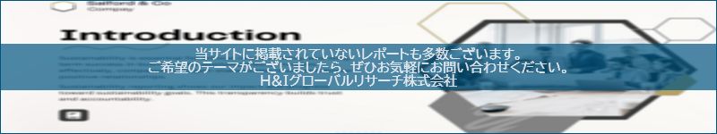 市場調査レポートのイメージwww.globalresearchdata.jpサイト