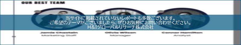 市場調査レポートのイメージwww.globalresearchdata.jpサイト