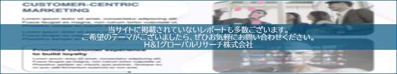 市場調査レポートのイメージwww.globalresearchdata.jpサイト