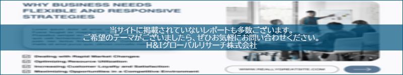 市場調査レポートのイメージwww.globalresearchdata.jpサイト