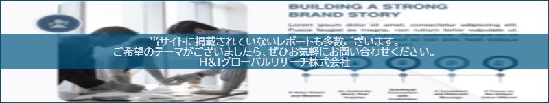 市場調査レポートのイメージwww.globalresearchdata.jpサイト