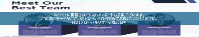 市場調査レポートのイメージwww.globalresearchdata.jpサイト