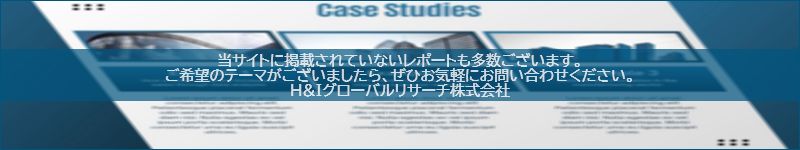 市場調査レポートのイメージwww.globalresearchdata.jpサイト