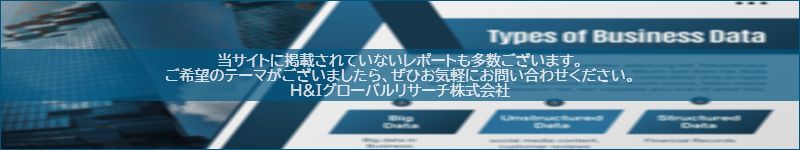 市場調査レポートのイメージwww.globalresearchdata.jpサイト
