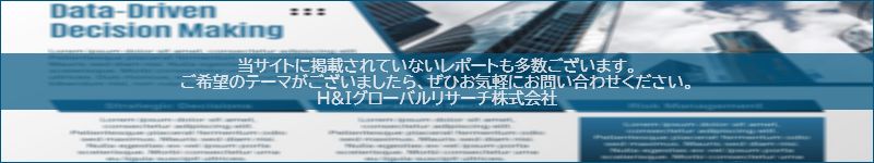 市場調査レポートのイメージwww.globalresearchdata.jpサイト