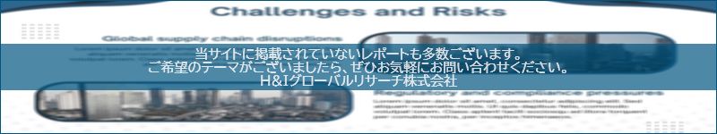 市場調査レポートのイメージwww.globalresearchdata.jpサイト