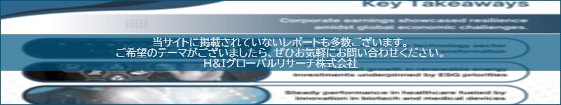市場調査レポートのイメージwww.globalresearchdata.jpサイト