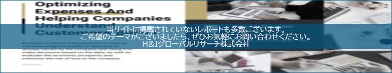 市場調査レポートのイメージwww.globalresearchdata.jpサイト